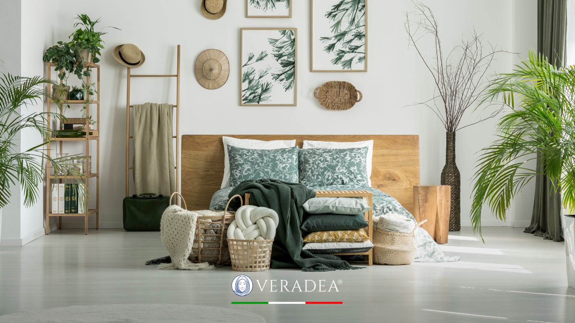 Plants in the Bedroom: all the Advantages